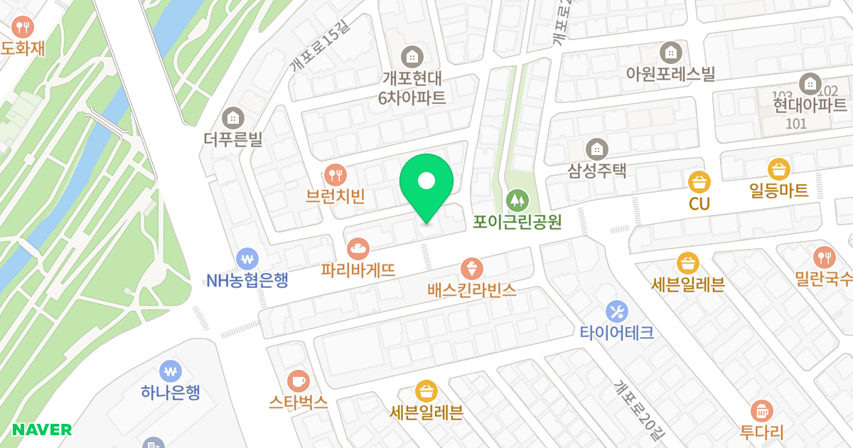 골든빌오피스텔 위치 지도 - 서울특별시 강남구 개포로 213