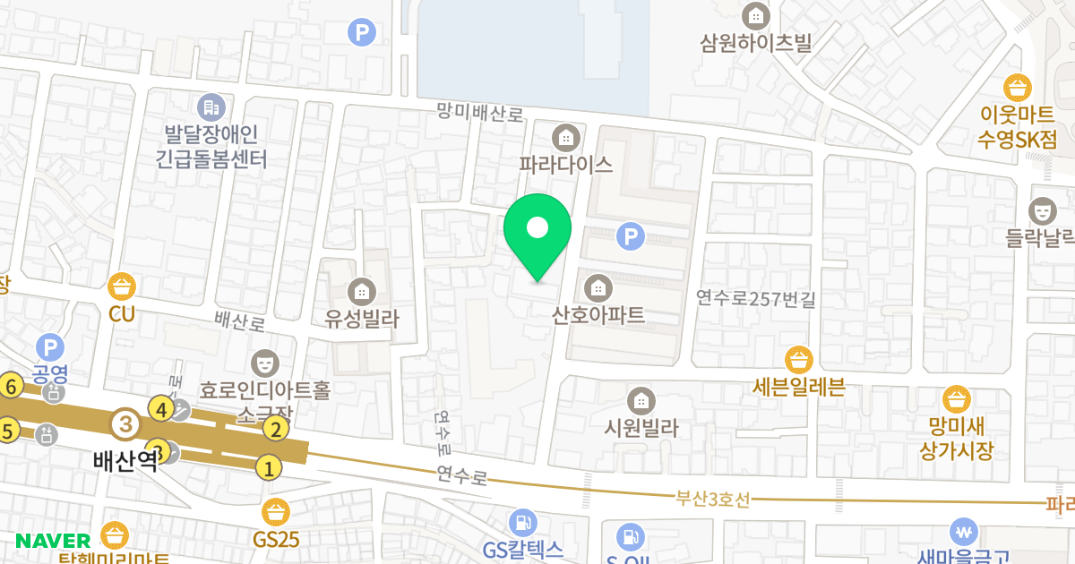 망미 DI LEADERS 위치 지도 - 부산광역시 수영구 연수로249번길 21