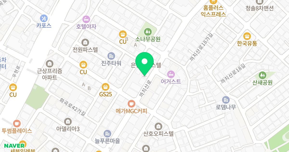 드림하우스 위치 지도 - 서울특별시 강서구 까치산로 87