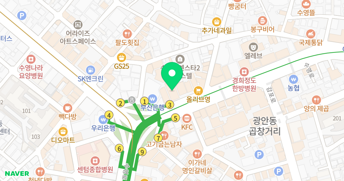 수영동 디온 플레이스 위치 지도 - 부산광역시 수영구 수영로 699