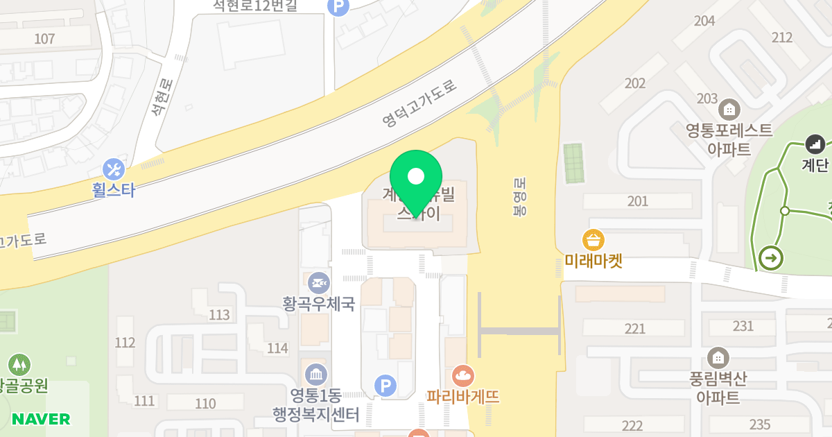 수원영통리슈빌스카이오피스텔 위치 지도 - 경기도 수원시 영통구 중부대로 604