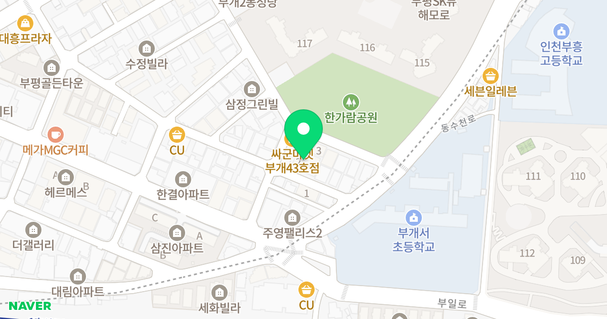LG드림빌 위치 지도 - 인천광역시 부평구 동수천로 45-12