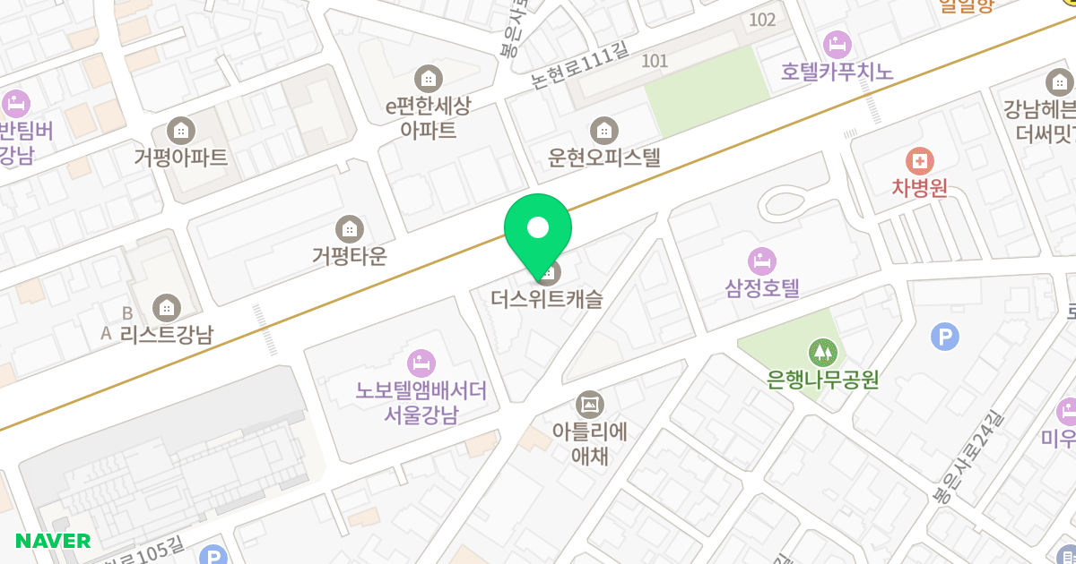 더스위트캐슬 위치 지도 - 서울특별시 강남구