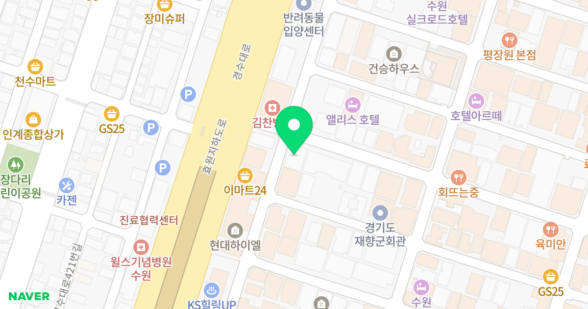 더올리브 위치 지도 - 경기도 수원시 팔달구 경수대로446번길 12