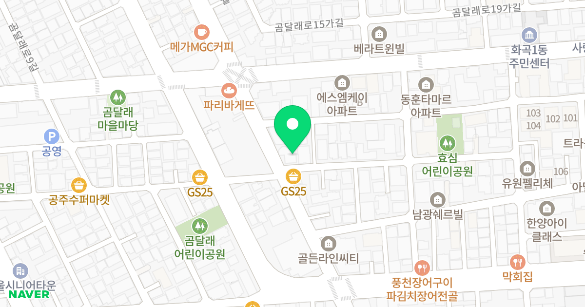 대성케이제이 위치 지도 - 서울특별시 강서구 월정로 114