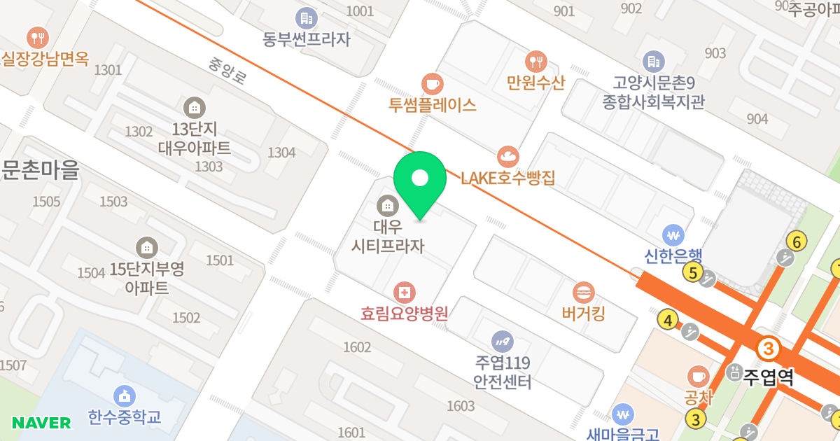대우시티프라자 위치 지도 - 경기도 고양시 일산서구 중앙로 1455