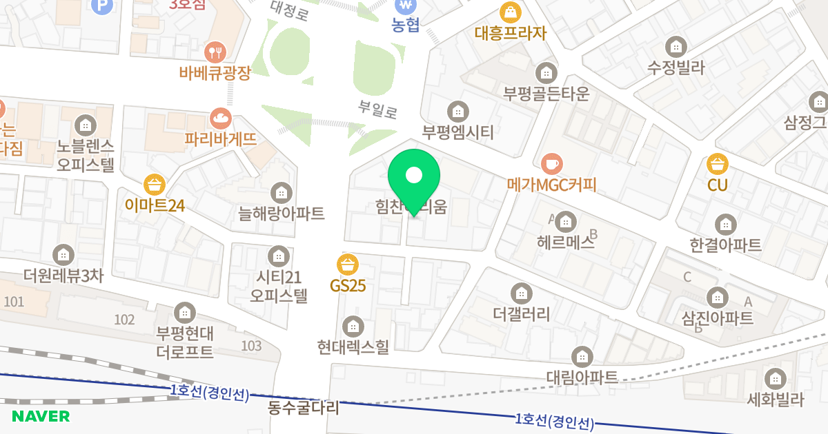 삼성캐슬아파트 위치 지도 - 인천광역시 부평구 장제로52번길 9