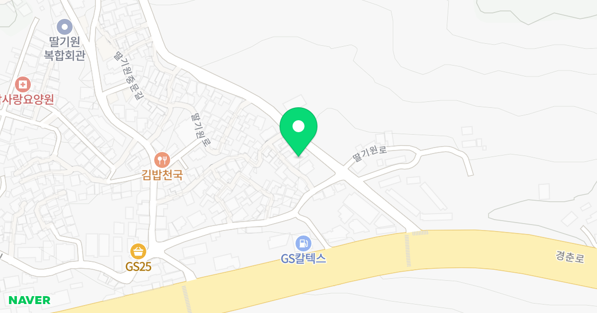 (300-4) 위치 지도 - 경기도 구리시 딸기원로 100