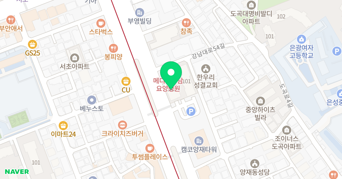도곡푸르지오 102동 위치 지도 - 서울특별시 강남구 강남대로 272