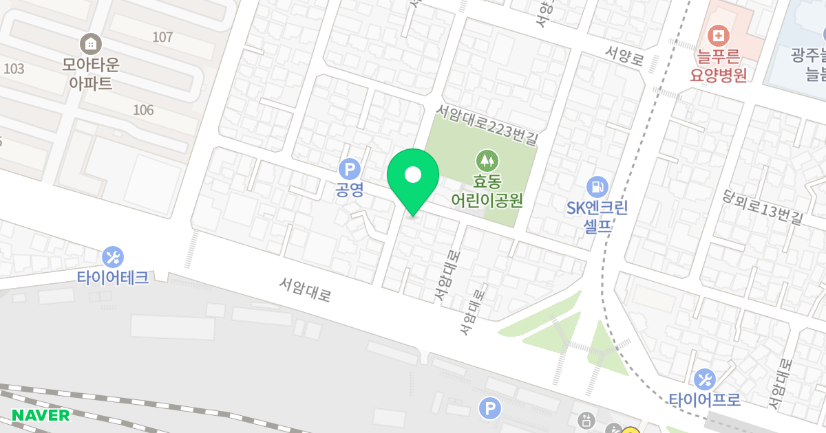 (348-1) 위치 지도 - 광주광역시 북구 우치로1번길 13